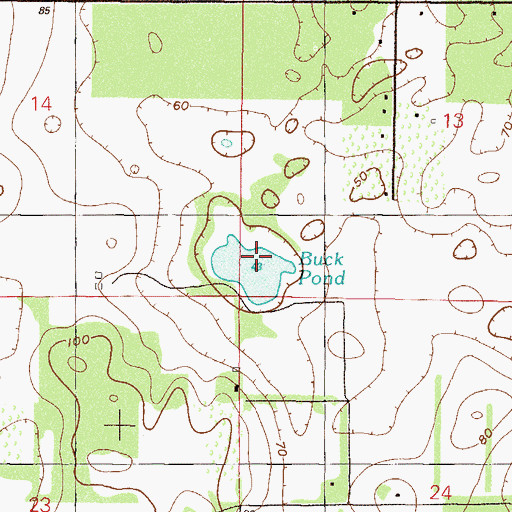 Topographic Map of Buck Pond, FL