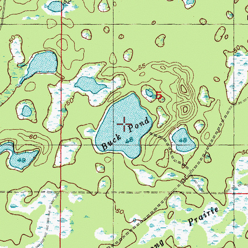 Topographic Map of Buck Pond, FL