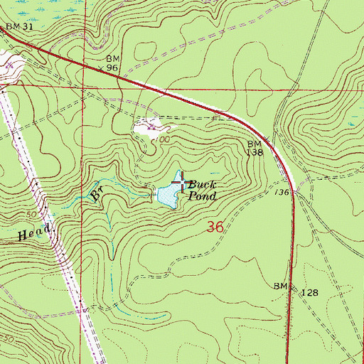 Topographic Map of Buck Pond, FL