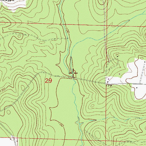 Topographic Map of Buckeye Branch, FL