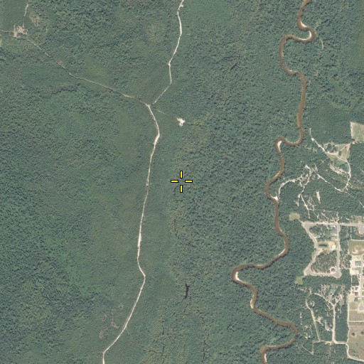Aerial/Satellite Image of Buckhannon Branch, FL