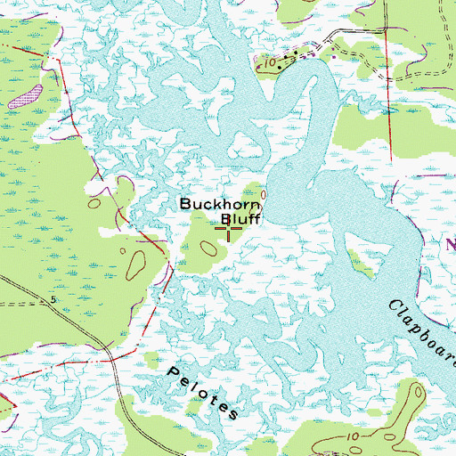 Topographic Map of Buckhorn Bluff, FL