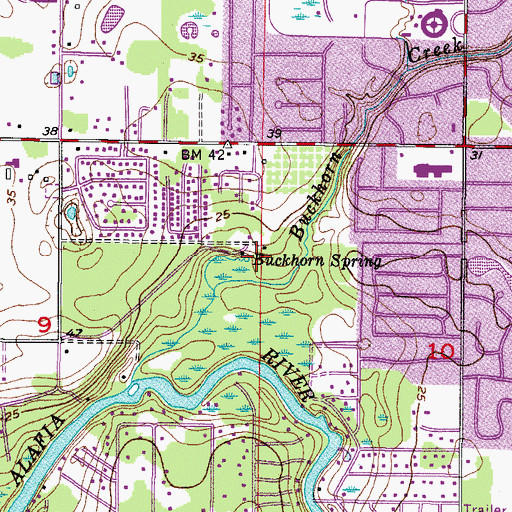Topographic Map of Buckhorn Spring, FL