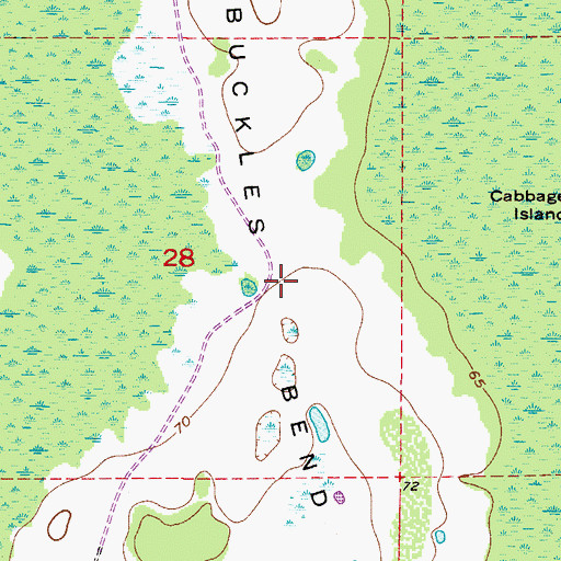 Topographic Map of Buckles Bend, FL