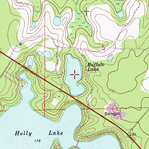 Topographic Map of Buffalo Lake, FL