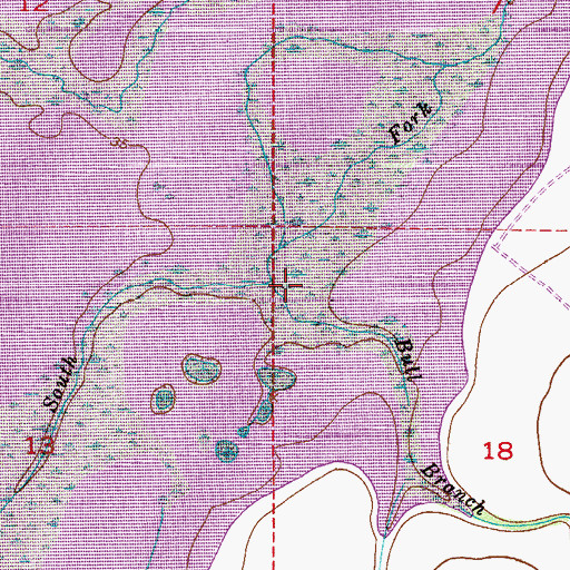 Topographic Map of Bull Branch, FL