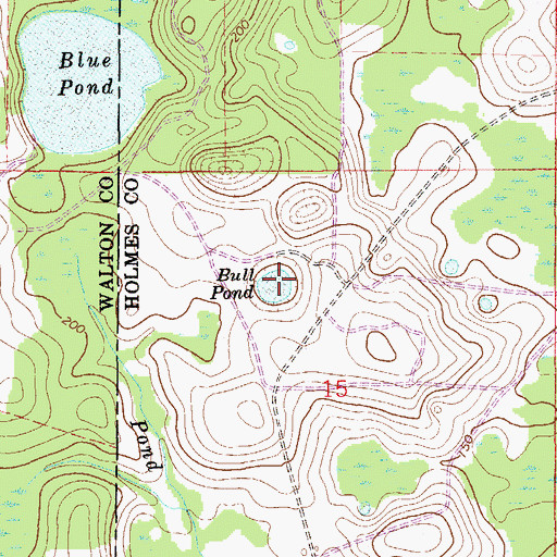 Topographic Map of Bull Pond, FL