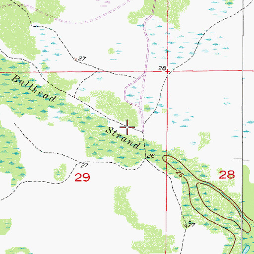 Topographic Map of Bullhead Strand, FL