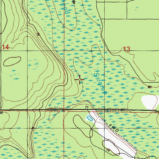 Topographic Map of Bullhead Swamp, FL