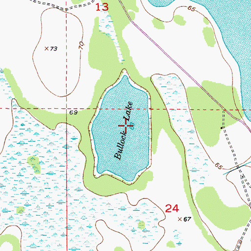 Topographic Map of Bullock Lake, FL