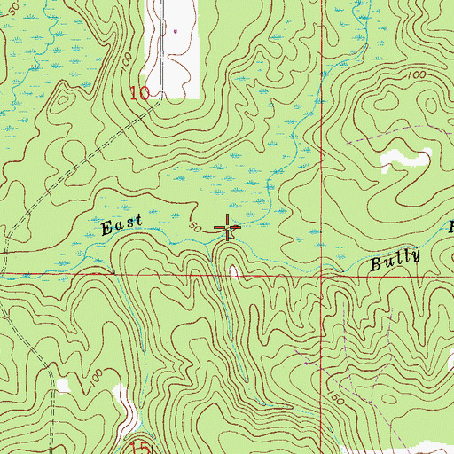 Topographic Map of Bully Horselot Branch, FL
