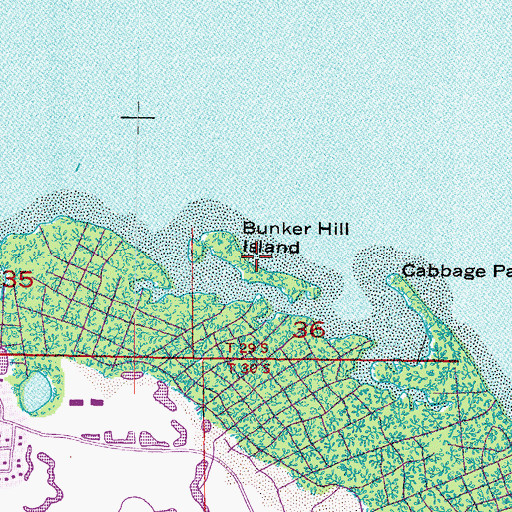 Topographic Map of Bunker Hill Island, FL