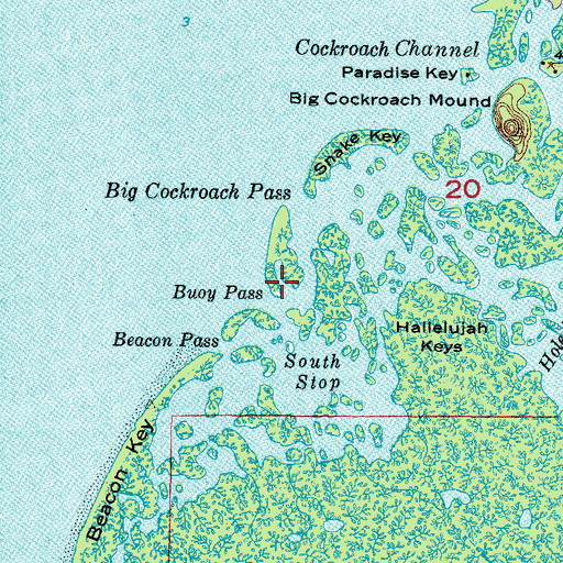Topographic Map of Buoy Pass, FL