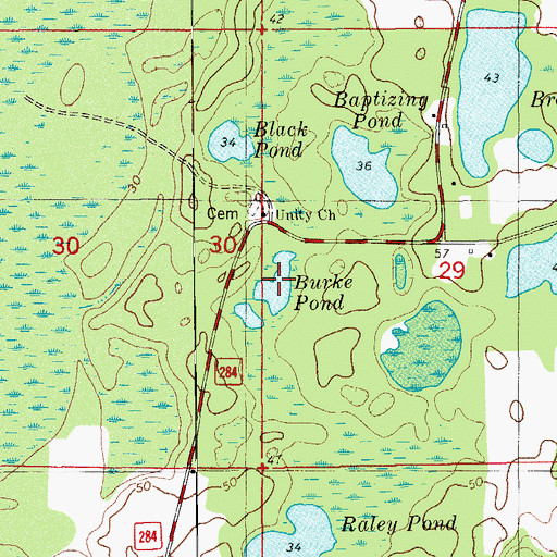 Topographic Map of Burke Pond, FL