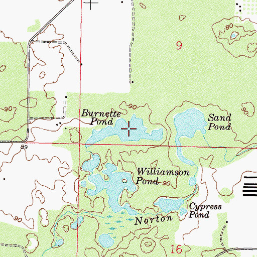 Topographic Map of Burnette Pond, FL