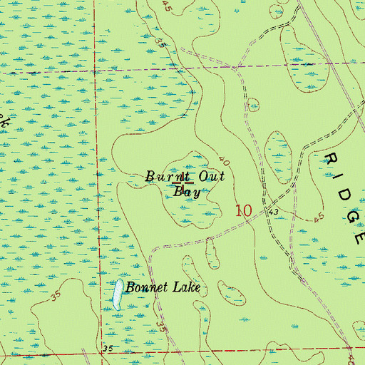 Topographic Map of Burnt Out Bay, FL