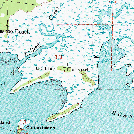 Topographic Map of Butler Island, FL