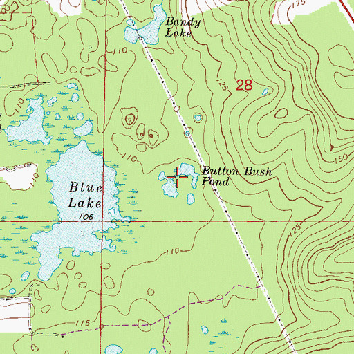Topographic Map of Button Bush Pond, FL