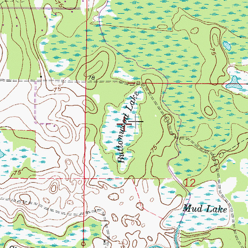 Topographic Map of Buttonwood Lake, FL