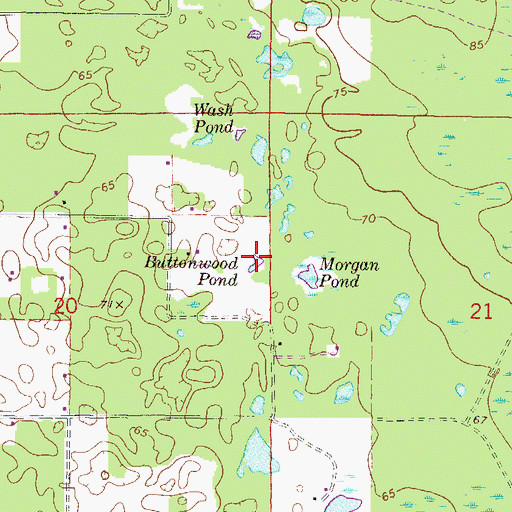 Topographic Map of Buttonwood Pond, FL
