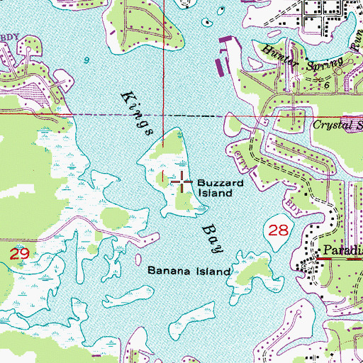 Topographic Map of Buzzard Island, FL