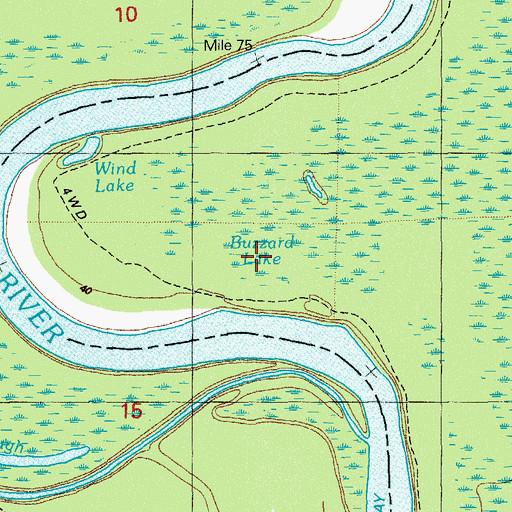 Topographic Map of Buzzard Lake, FL