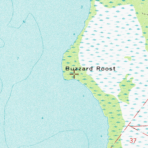 Topographic Map of Buzzard Roost, FL