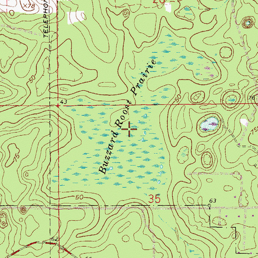 Topographic Map of Buzzard Roost Prairie, FL