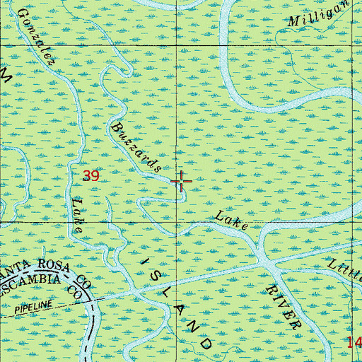 Topographic Map of Buzzards Lake, FL