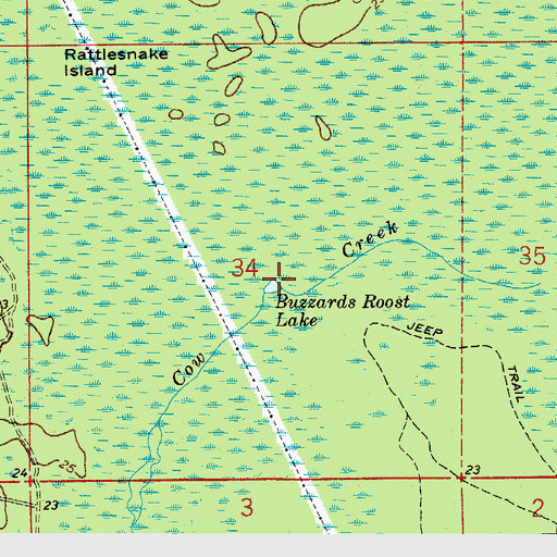 Topographic Map of Buzzards Roost Lake, FL