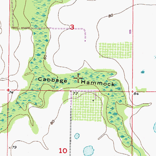 Topographic Map of Cabbage Hammock, FL