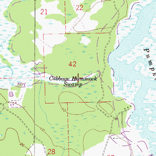 Topographic Map of Cabbage Hammock Swamp, FL