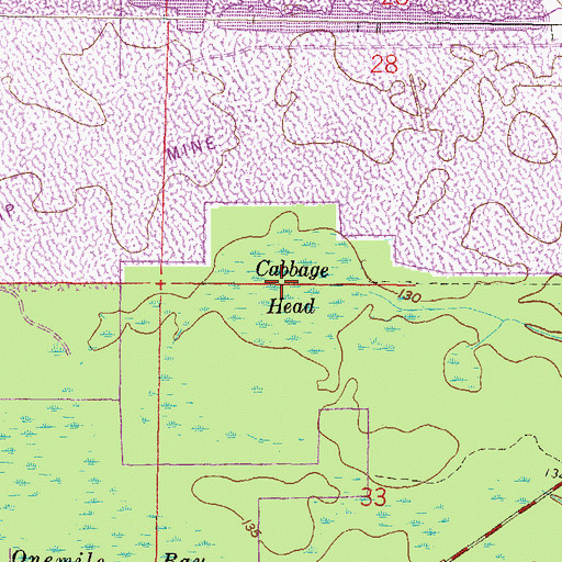 Topographic Map of Cabbage Head, FL