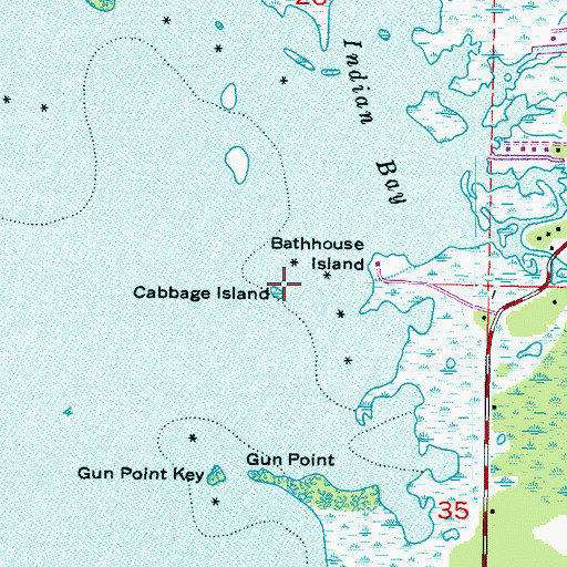 Topographic Map of Cabbage Island, FL