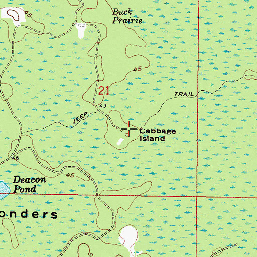 Topographic Map of Cabbage Island, FL