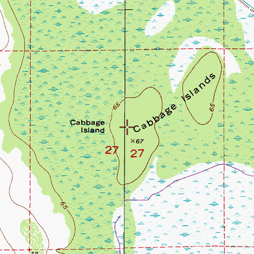 Topographic Map of Cabbage Island, FL