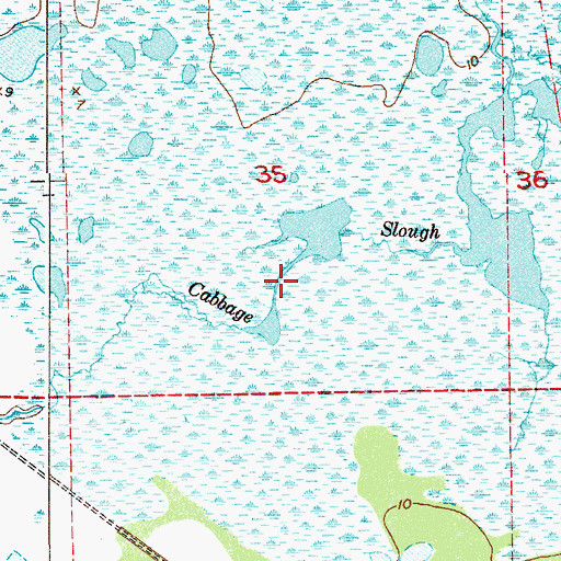 Topographic Map of Cabbage Slough, FL