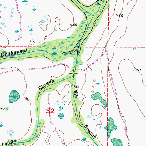 Topographic Map of Cabbage Slough, FL