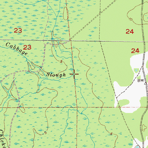 Topographic Map of Cabbage Slough, FL
