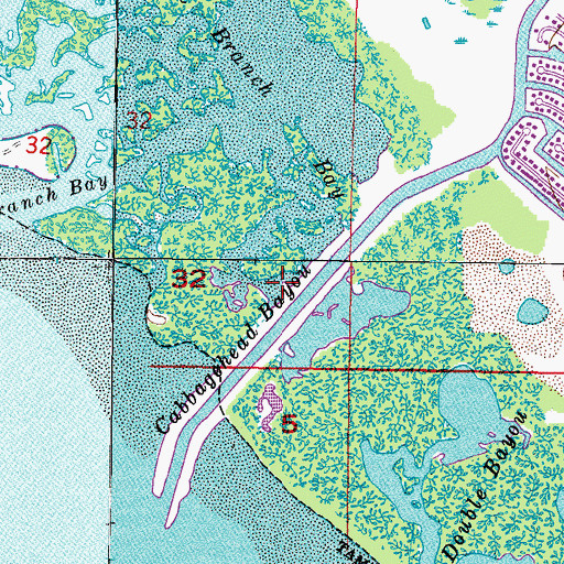 Topographic Map of Cabbagehead Bayou, FL