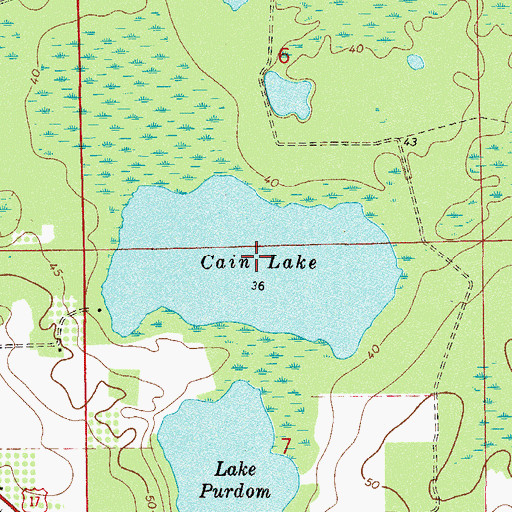 Topographic Map of Cain Lake, FL