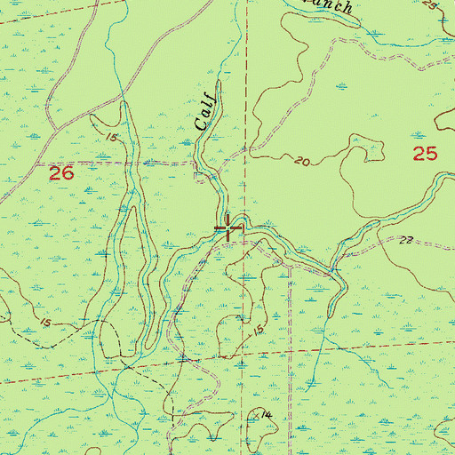 Topographic Map of Calf Branch, FL