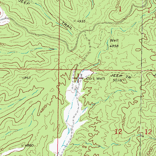Topographic Map of Cort Well, AZ