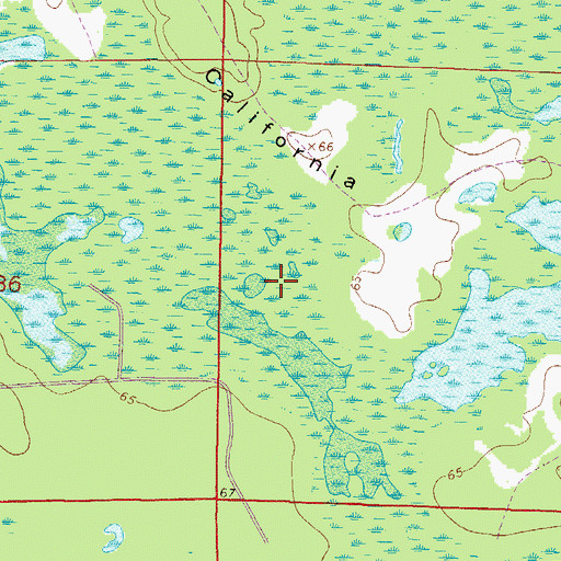 Topographic Map of California Scrub, FL