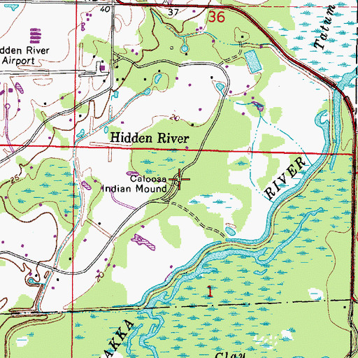 Topographic Map of Caloosa Indian Mound, FL