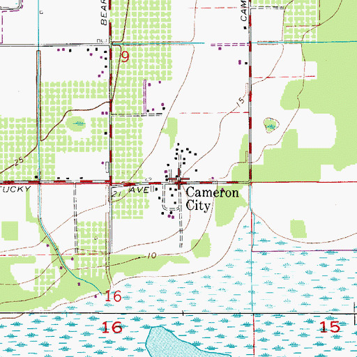 Topographic Map of Cameron City, FL