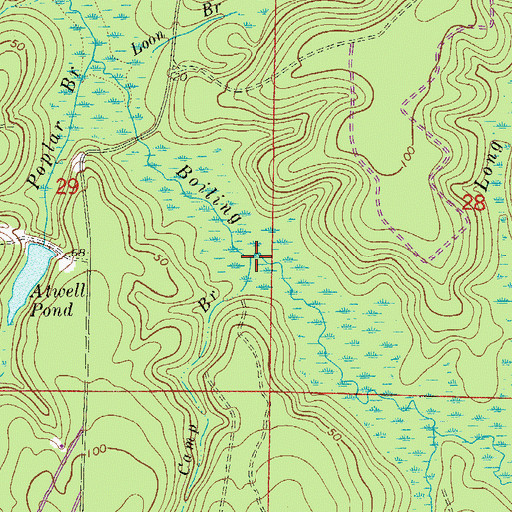 Topographic Map of Camp Branch, FL
