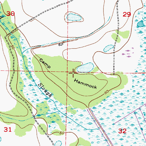 Topographic Map of Camp Hammock, FL