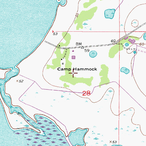 Topographic Map of Camp Hammock, FL