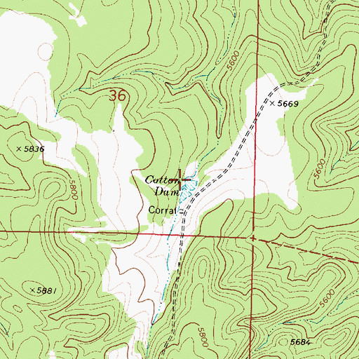 Topographic Map of Cotton Dam, AZ